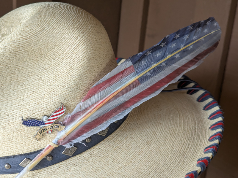 American Flag hat feather