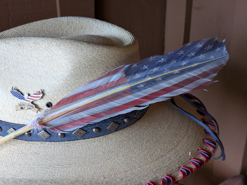 American Flag Feather